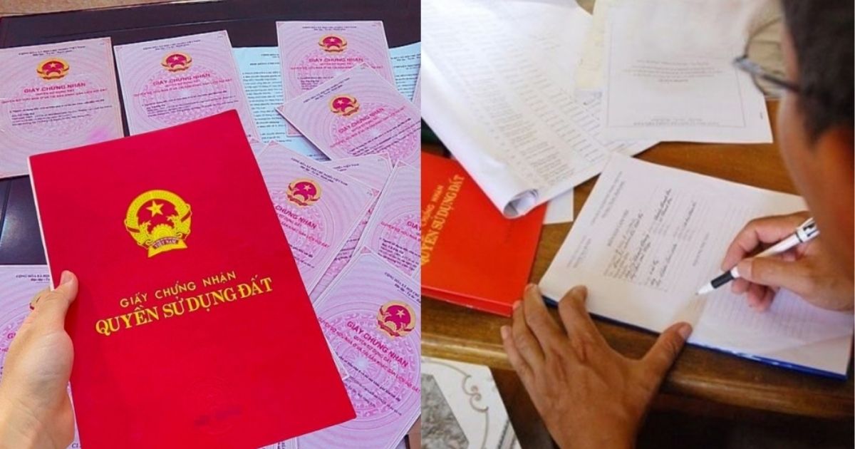 Hợp đồng chuyển nhượng đất bị tuyên vô hiệu